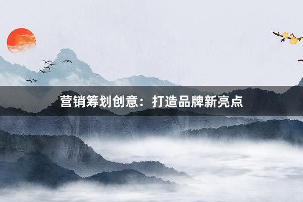 营销筹划创意：打造品牌新亮点